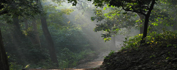 Corbett India Birding Tour